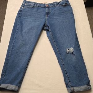 Signature by Levi Strauss Boyfriend Distressed Jeans, Size 20, W35‎